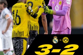 开云体育网站-德国打巴西7比1阵容