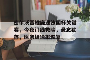 开云体育官方入口-密尔沃基雄鹿迎法国杯关键赛，今夜门线救险，悬念犹存，医务组通报恢复